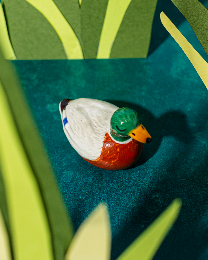 Mallard Duck Token