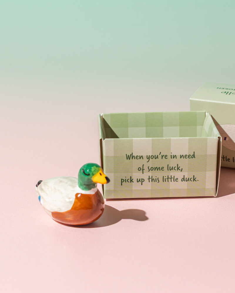 Mallard Duck Token