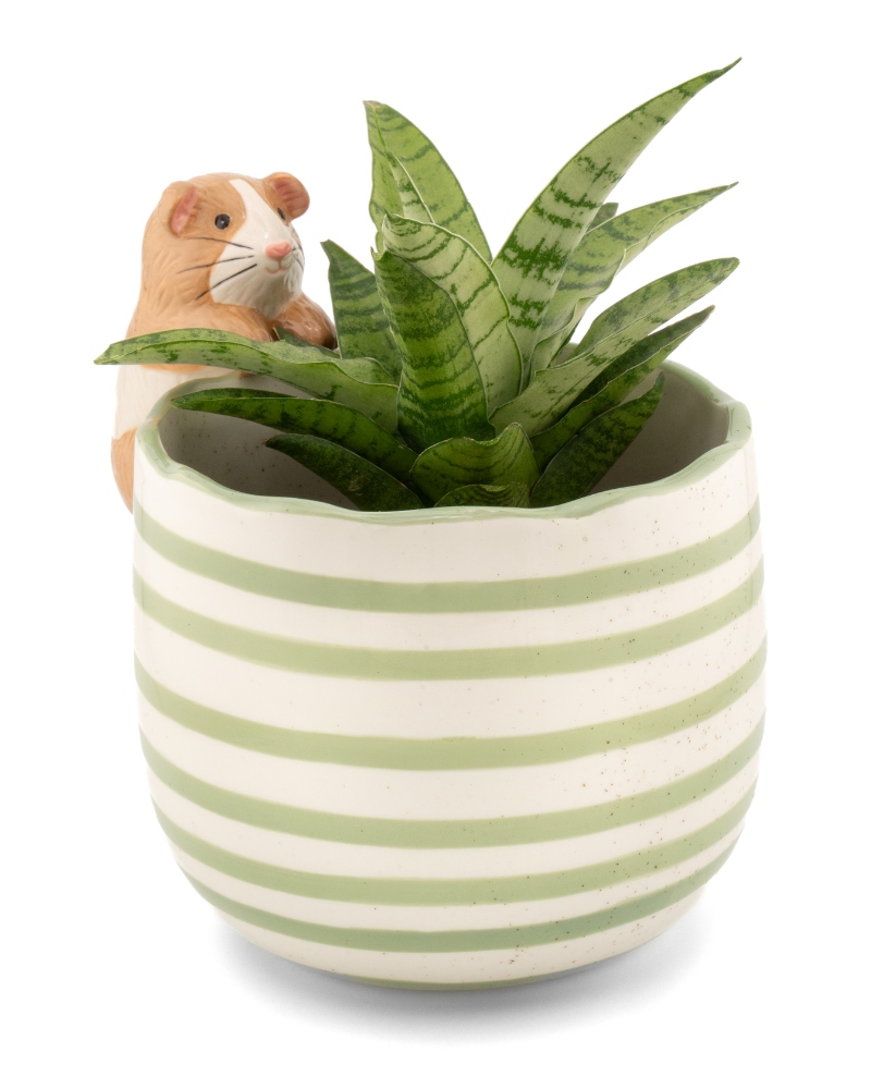 Peeking Guinea Pig Planter
