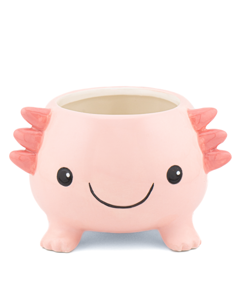 Axolotl Planter on Legs