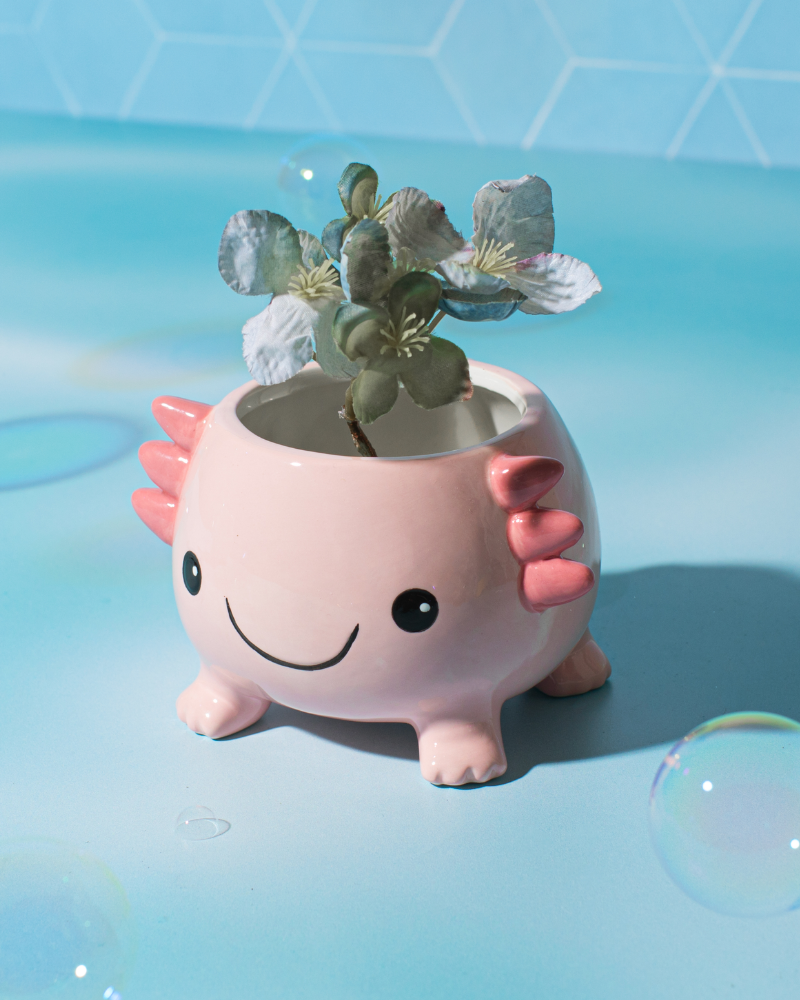 Axolotl Planter on Legs
