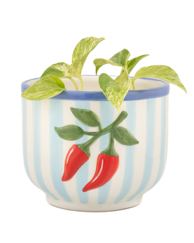 Handpainted Chilli Pepper Planter