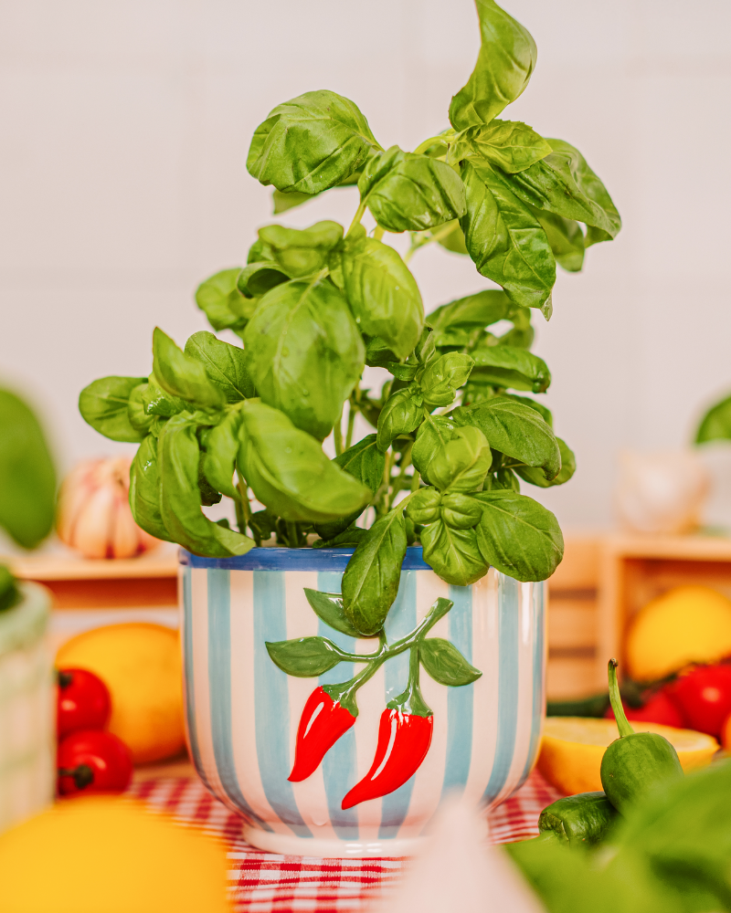 Handpainted Chilli Pepper Planter