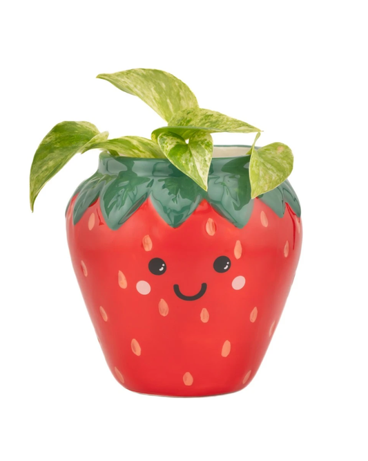 Strawberry Shaped Planter