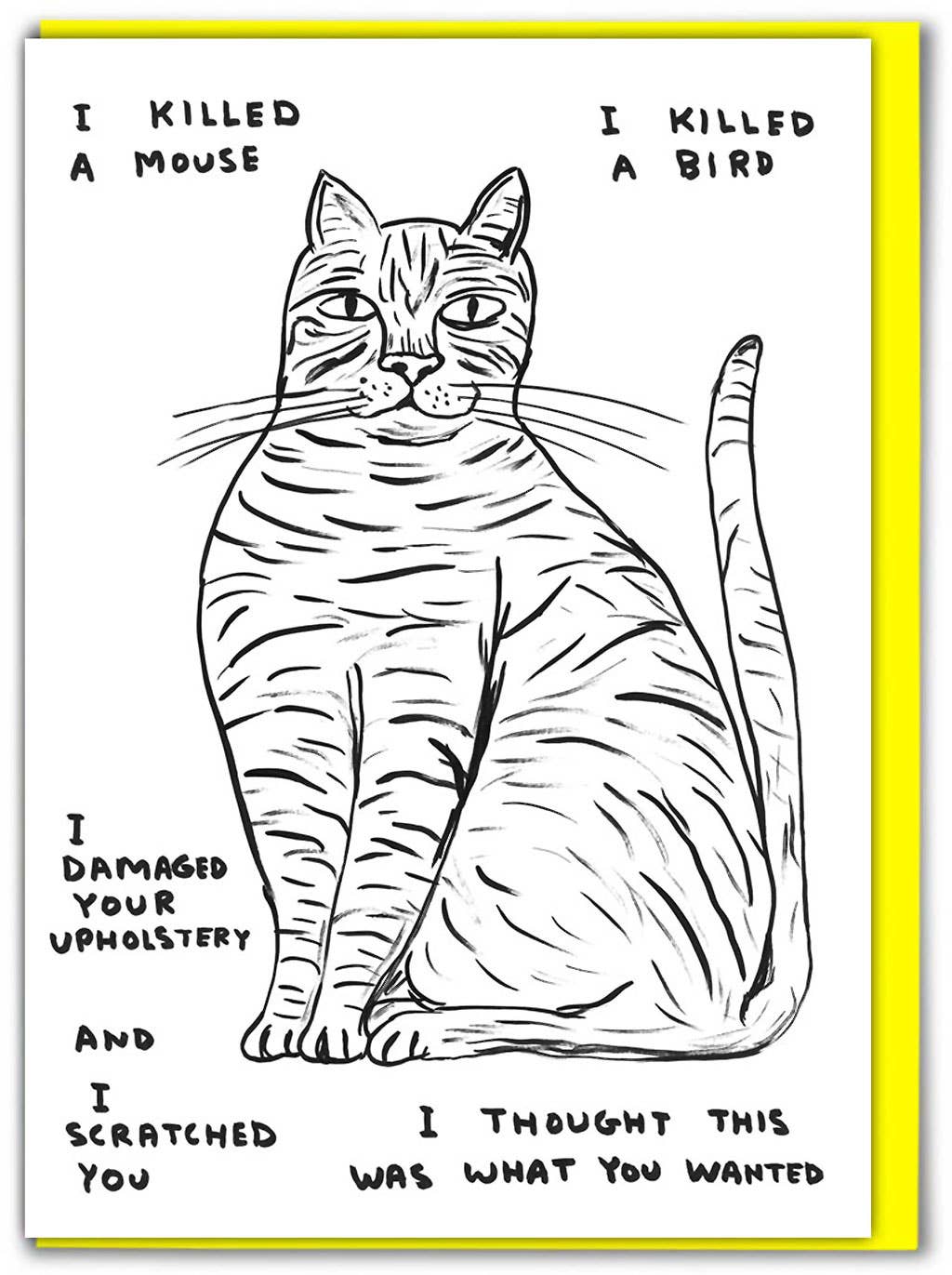 Cat Confessions Greeting Card