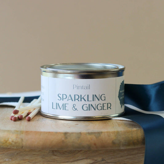 Sparkling Lime and Ginger Paint Pot Candle