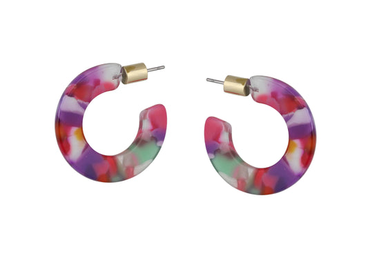 Erica Oval Hoop Earrings in Pink