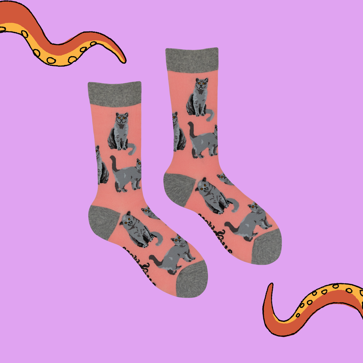 British Shorthair Cat Crew Socks in Pink