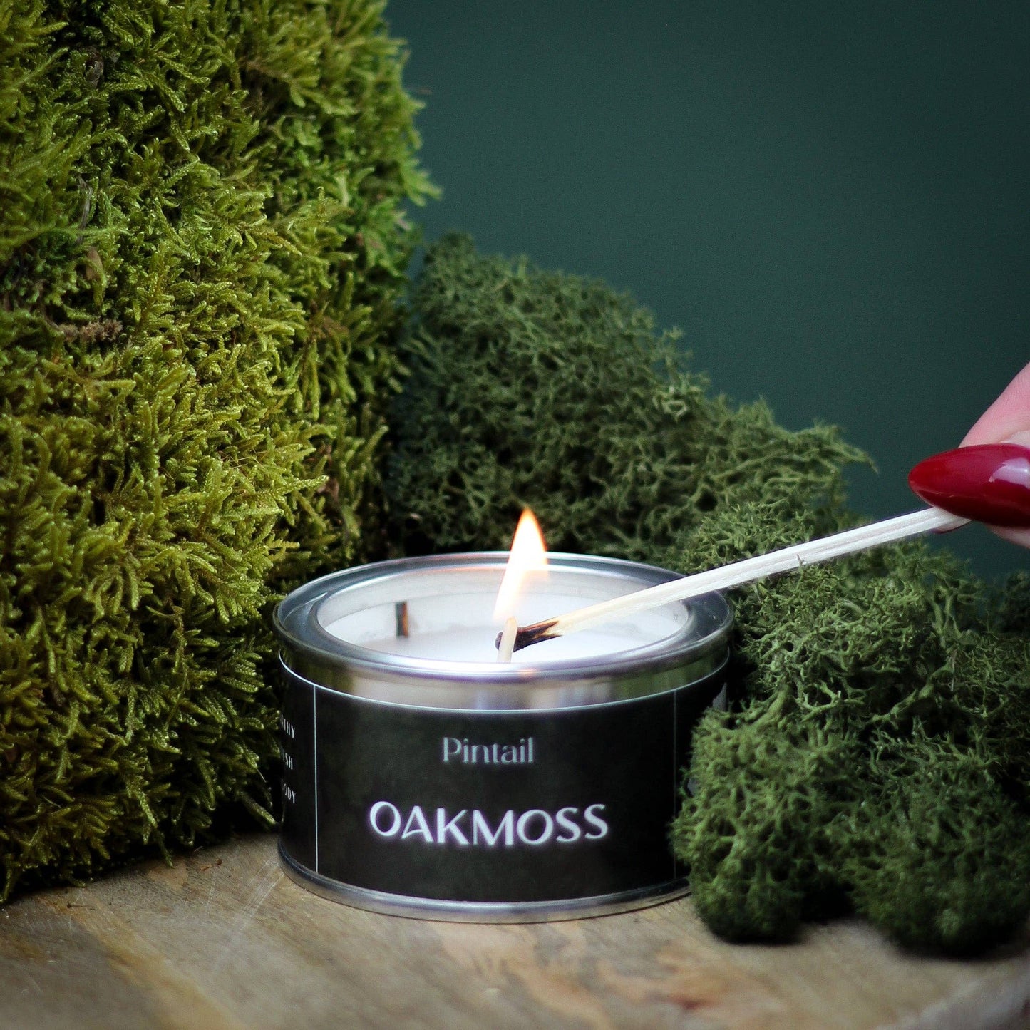 Oakmoss Paint Pot Candle