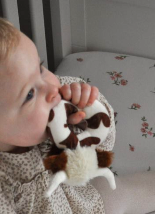 Texas Longhorn Highland Cow Plush Rattle