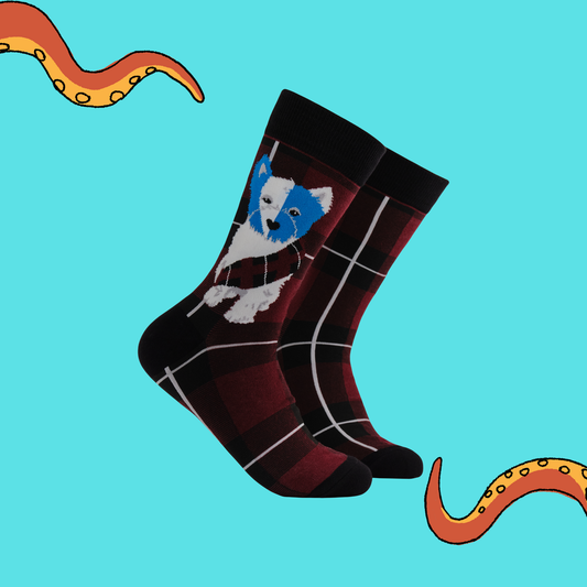 Braveheart Westie Dog Crew Socks