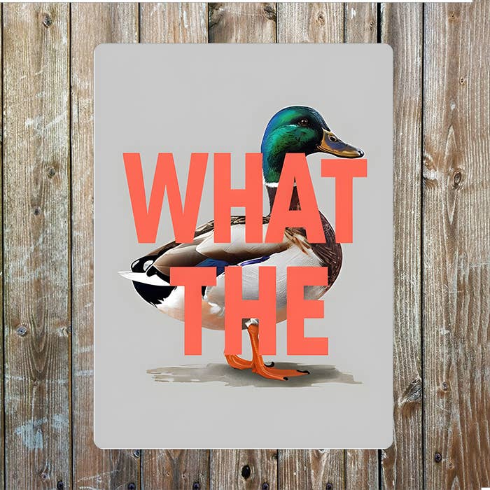 What The Duck Metal Wall Sign Plaque 6x8inch