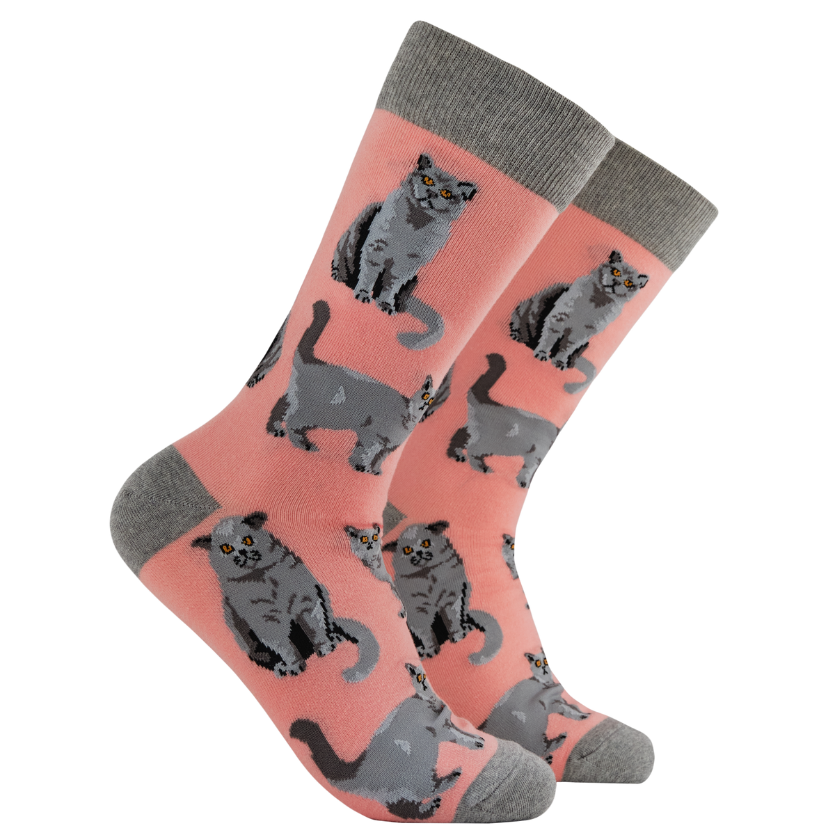 British Shorthair Cat Crew Socks in Pink