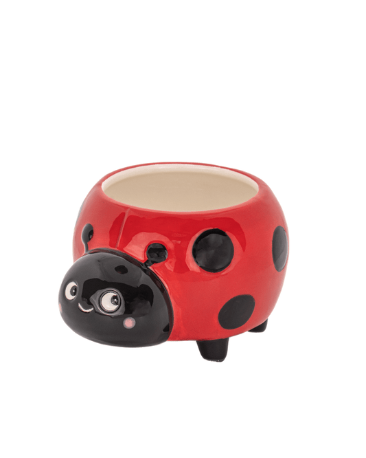 Mini Ladybird Planter - Pink Poodle Boutique - XDC716
