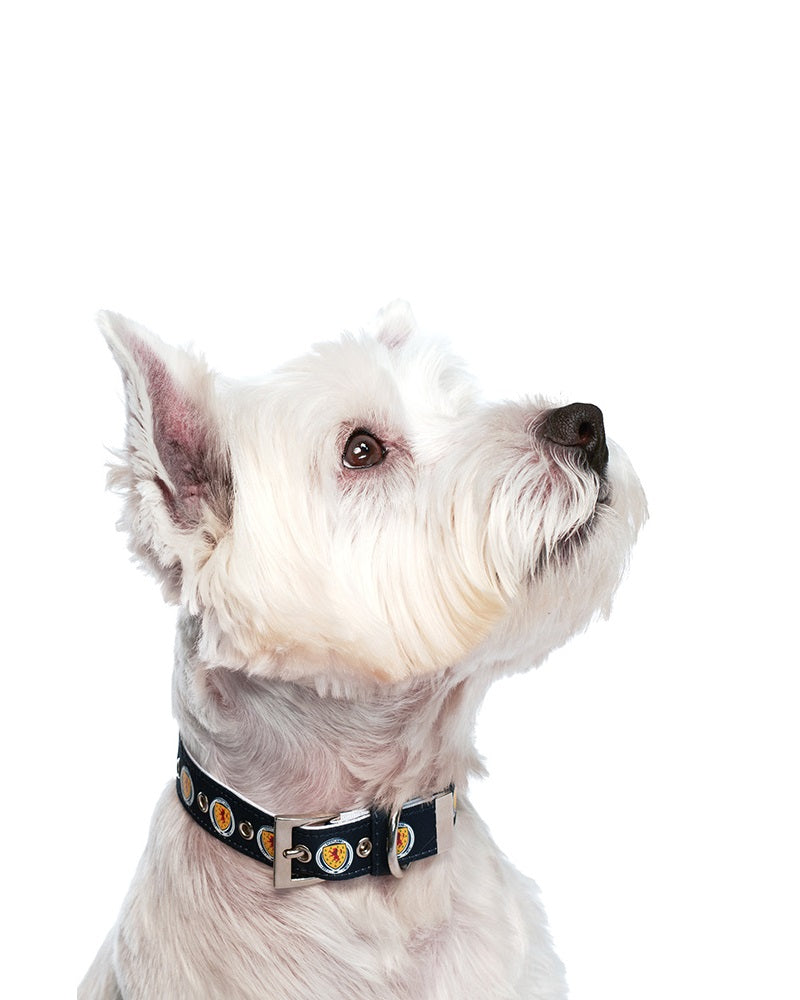 Scotland Football Team Dog Collar