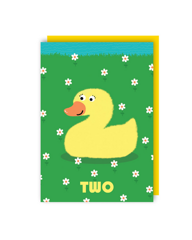 Two Second Birthday Greeting Card
