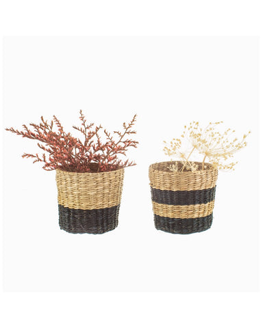 Mini  Seagrass  Planters Set Of 2