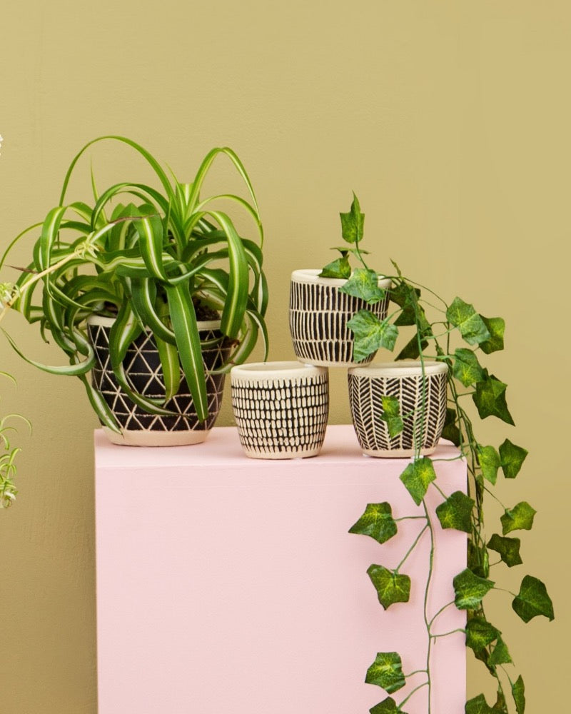 Scandi Boho Cement Planter