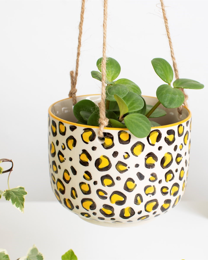 Leopard Love Hanging Planter