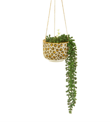 Leopard Love Hanging Planter