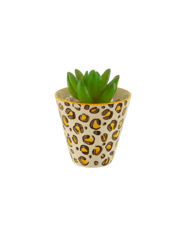 Leopard Love Mini Plant Pot