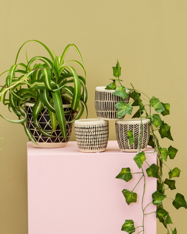 Monochrome Mini Planters Assorted