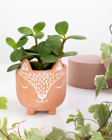 Mini Fox Terracotta Planter