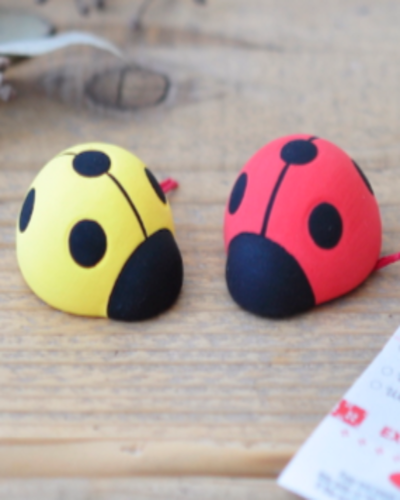 Ladybug Fortunes
